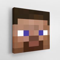 Minecraft Steve Canvas