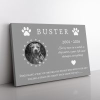 Pet Memory Canvas