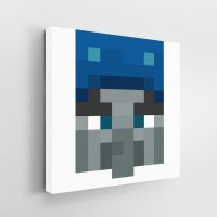 Minecraft Illusioner Face Canvas