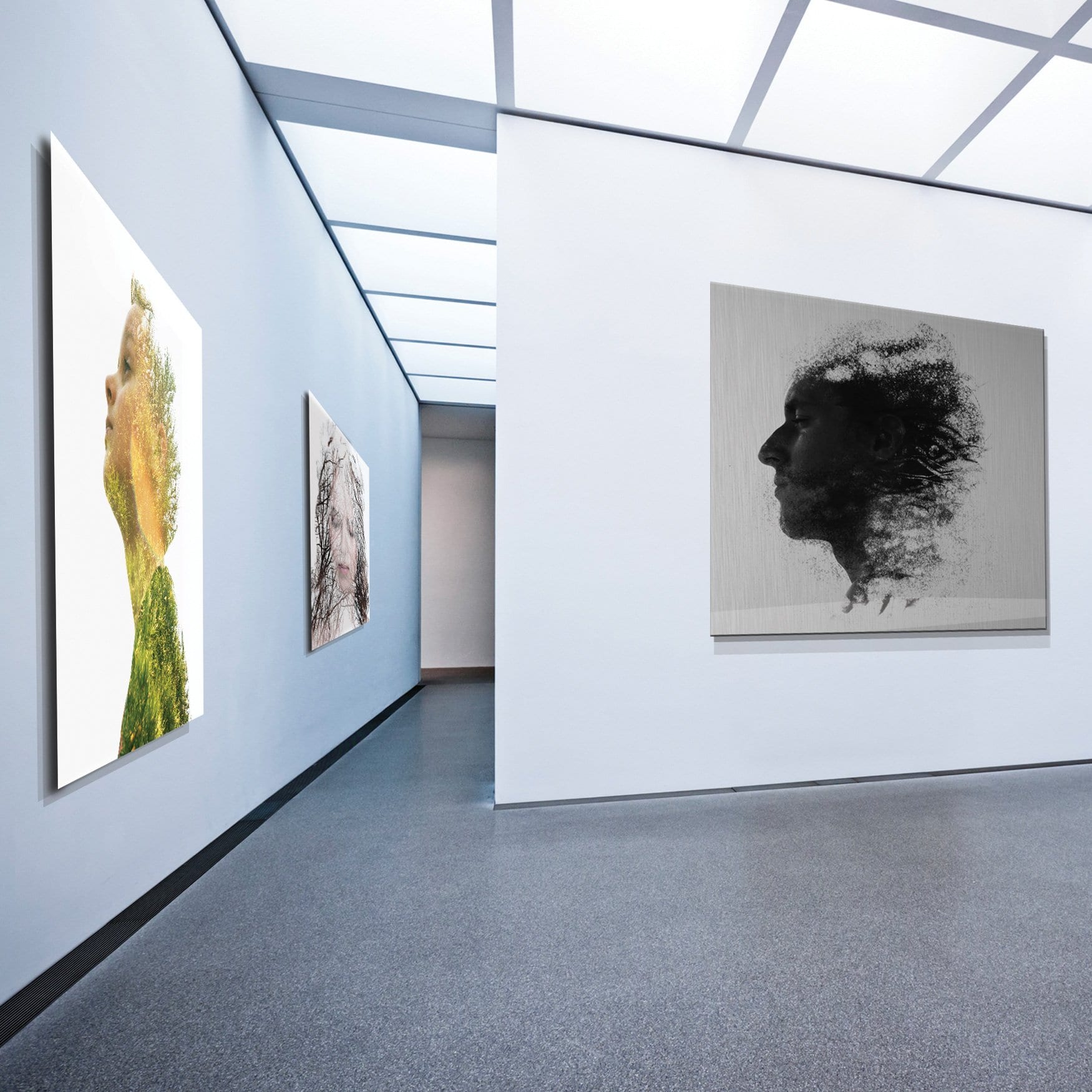 Outdoor Aluminium Frames