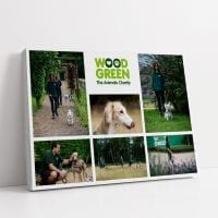 Woodgreen Collage Image