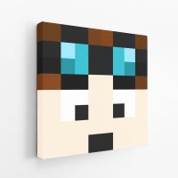 Dan TDM Minecraft Canvas