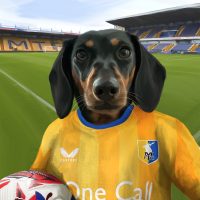 Sports Pet Portrait x 3 Pets