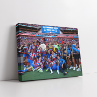 Crystal Palace Community Shield Winners 2025 Canvas